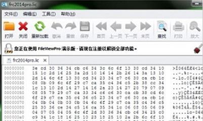 lic文件怎么打開？lic格式文件打開亂碼的解決方法