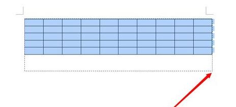 怎么用wps制作表格？wps簡(jiǎn)單制作表格的方法